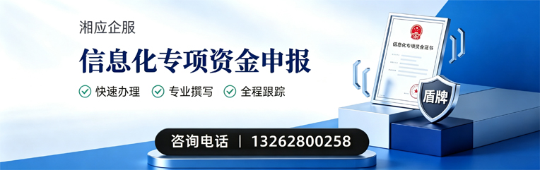 厦门信息化专项资金申报服务