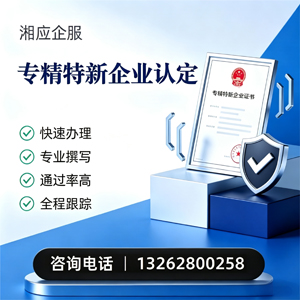 厦门专精特新企业申报服务