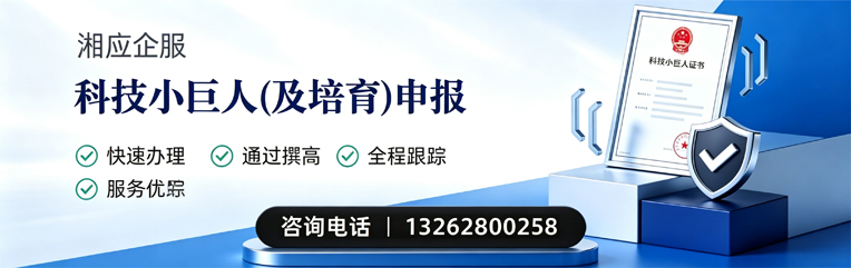 厦门科技小巨人及培育企业申报服务