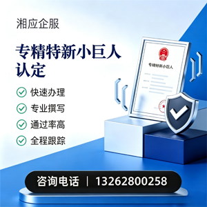厦门专精特新小巨人申报服务