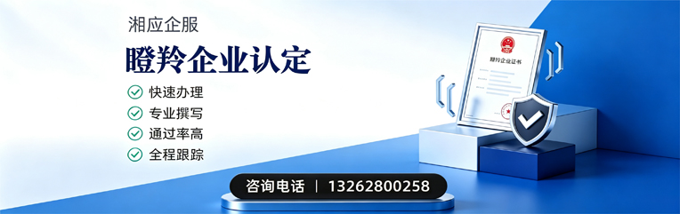 厦门瞪羚企业认定申报服务