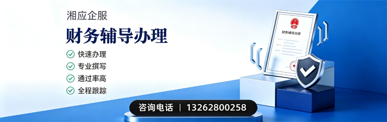厦门财务辅导申请服务