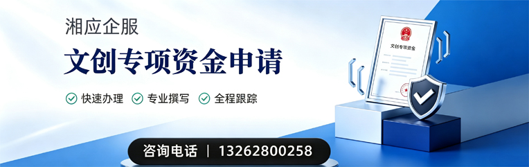 厦门文创专项资金申报服务