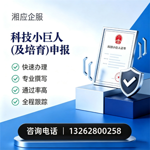 厦门科技小巨人及培育企业申报服务