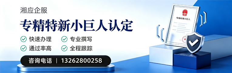 厦门专精特新小巨人申报服务